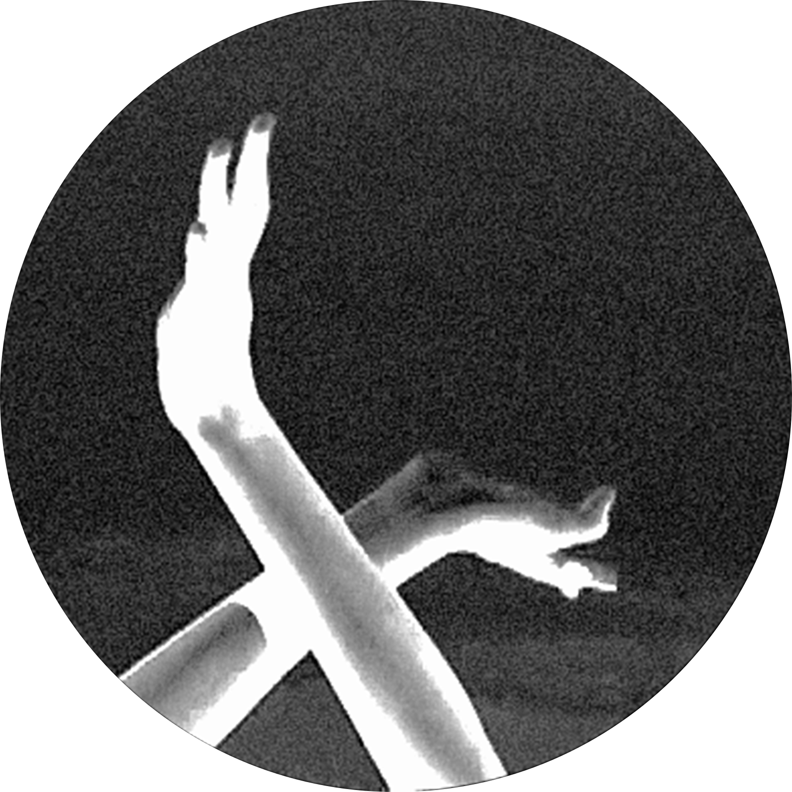 NA MATA LAB — Ana Pi