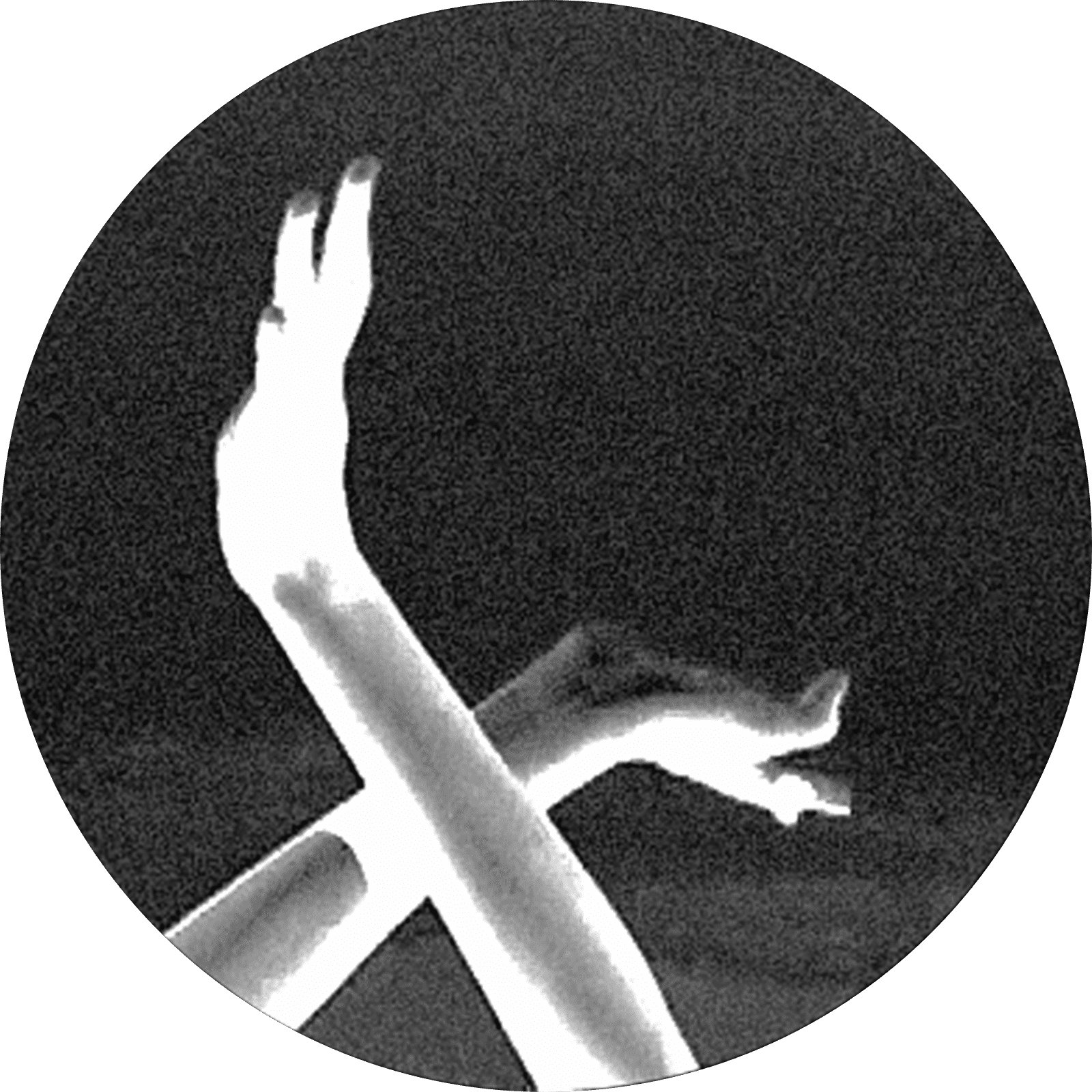 NA MATA LAB — Ana Pi